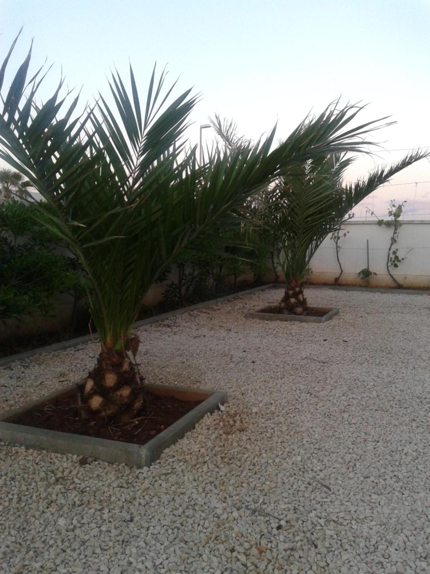 ויר Apartments Ayla מראה חיצוני תמונה
